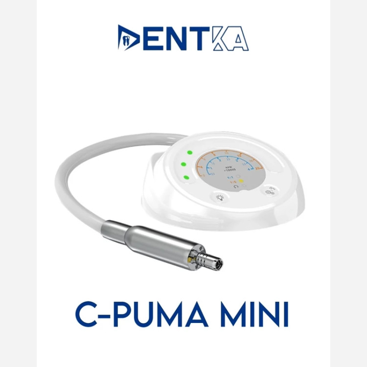 موتور الکتریکی کوکسو C-PUMA MINI