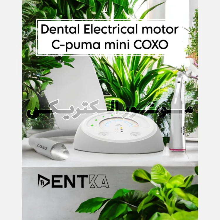 موتور الکتریکی کوکسو C-PUMA MINI
