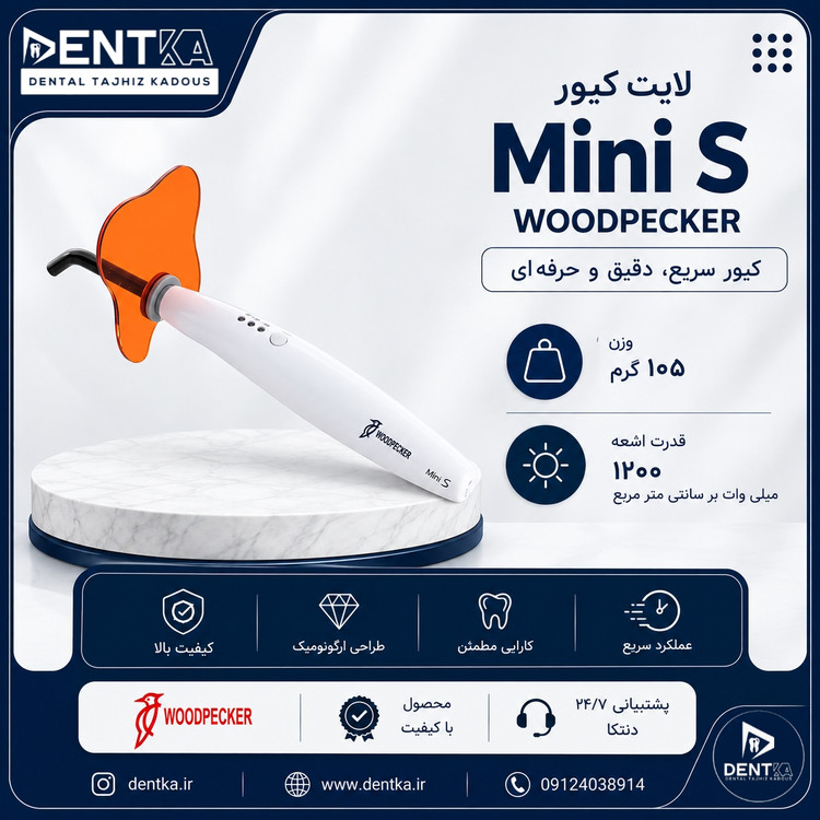 لایت کیور بی سیم Mini S وودپکر